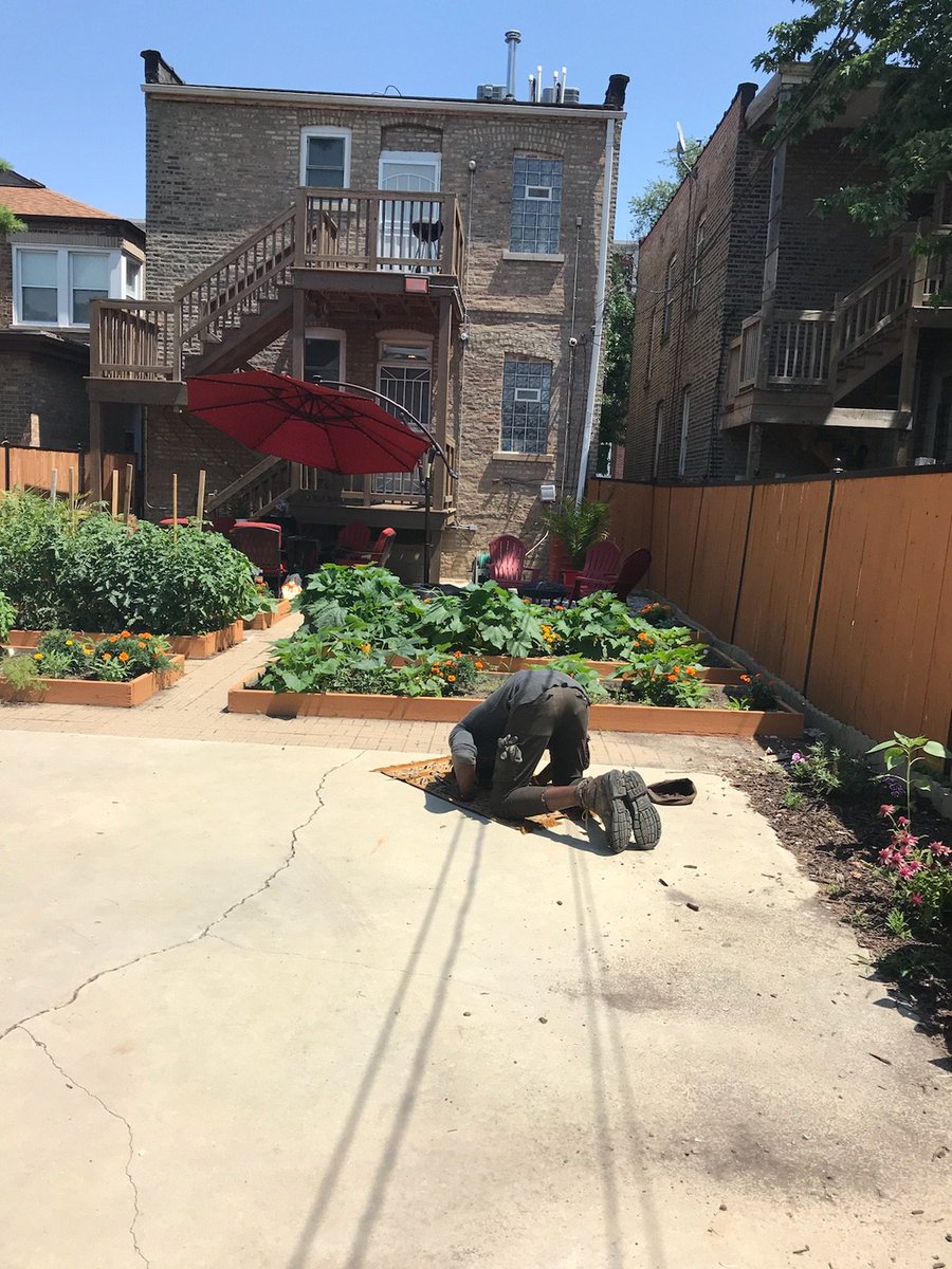 Longtime IMAN leader and farmer Olisaemeka Okakpu tending to and praying for our backyard garden. #FightBackWithFood