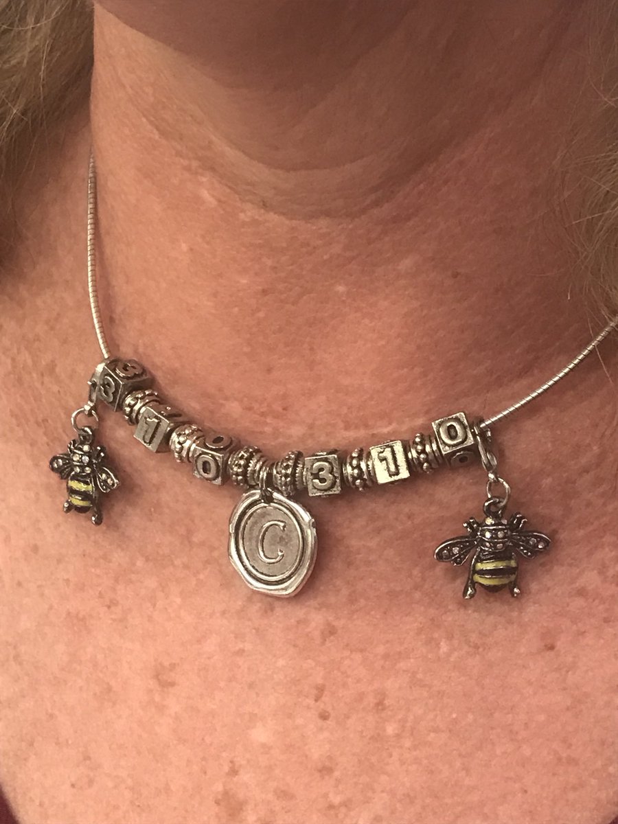 BTW_HCPS's tweet photo. We love Ms. Weiserโs new necklace! #btwproud #310points #takeflight https://t.co/up05noXRMF