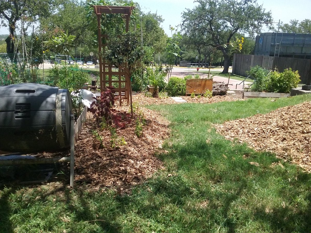 ACCmockingbird's tweet image. Received a huge delivery of mulch. Lots of work yo do.