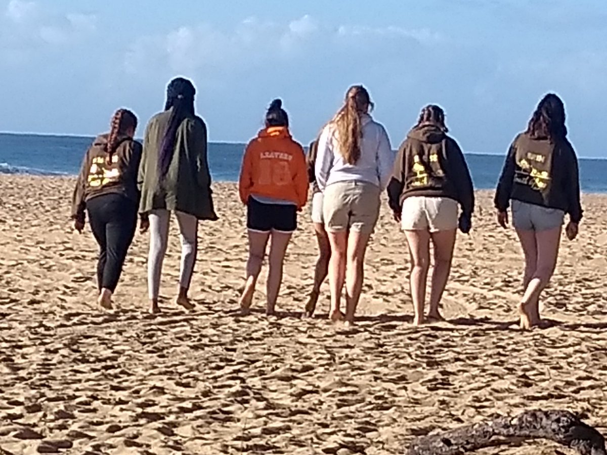 Rosebery Opwall Trip tweet media