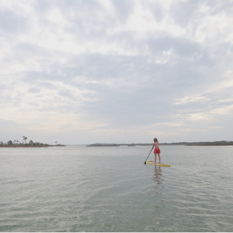DestinFWB's tweet photo. With opportunities to hike, fish, kayak, paddleboard, bird, and more, an avid ecotourist has near limitless opportunities here on the Emerald Coast. Learn more about our ecotourism hotspots here https://t.co/J2PTLYAVql #WednesdayWisdom #LoveFL https://t.co/ISowp3tawK