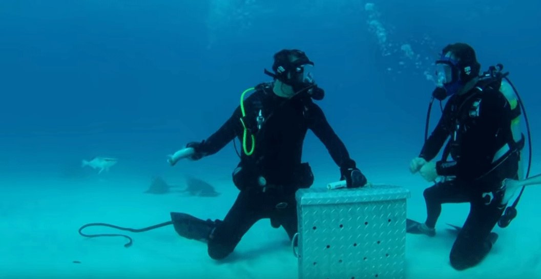 Bear Grylls VS Bull Sharks - watch the video! - mailchi.mp/775834c3557d/b…