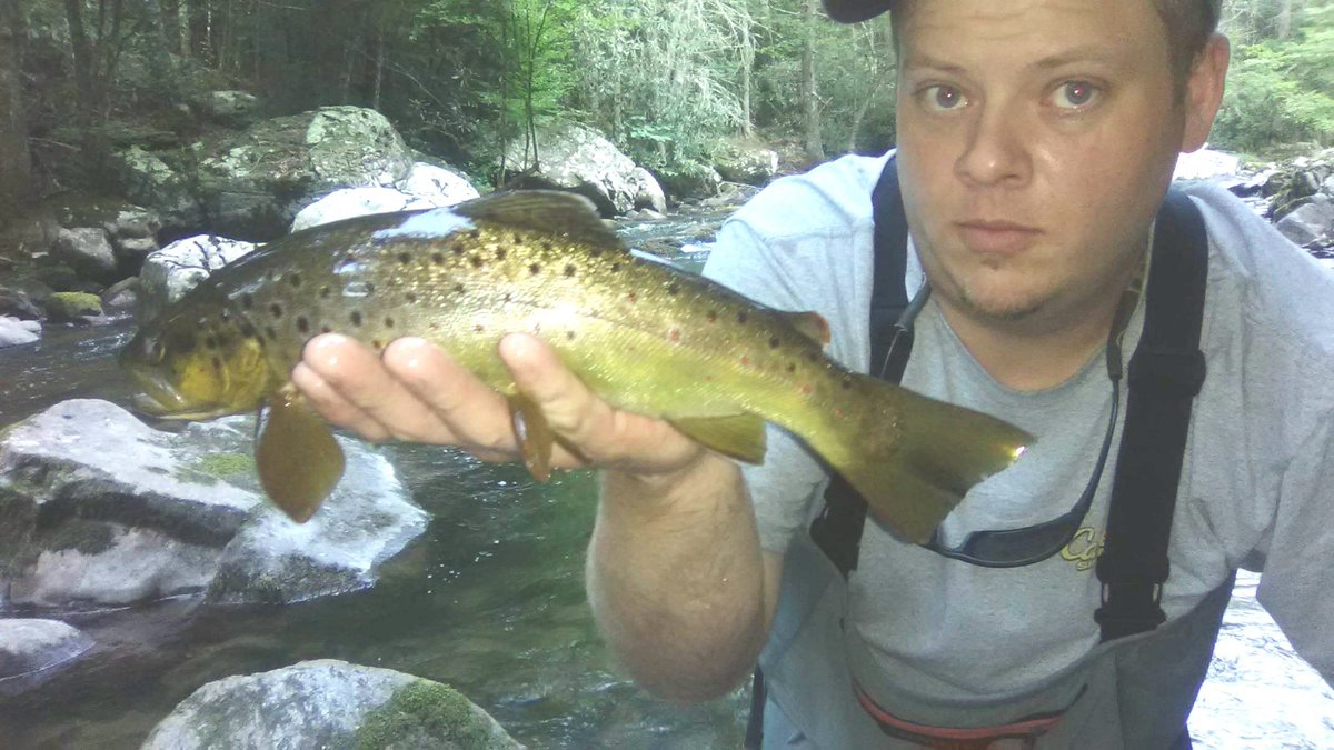 FishwithTJ's tweet photo. Brown troutin' in the Blue Ridge Mountains!
#flyfishing #fishing #flyfishvirginia #flyfishva #vaflyfishing #flyfishingnation #catchandrelease #angler #troutbum #explore #troutfishing #vafish #repyourwater #wvmade #hawgfish #simmsfishing #costasunglasses #salmotrutta #browntrout https://t.co/V8rdvXCDG4