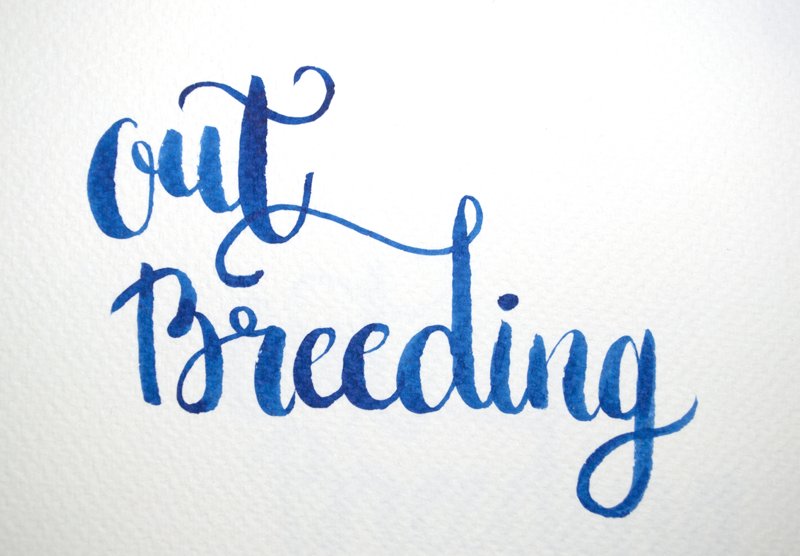 본즈커크. Cat Killed the Curiosity (냥본즈 트윈지 수록)
고양이 본즈와 주인 커크를 유료발행 했습니당 😌

espisp.postype.com/post/2229185