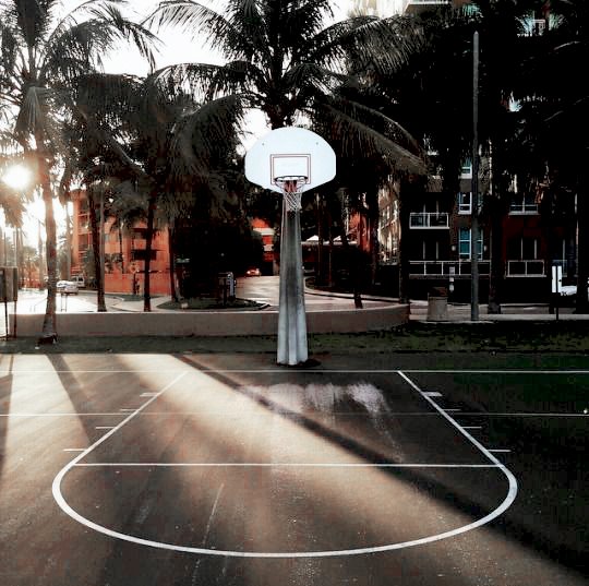 FindMyWayBxck's tweet image. ————⊰ Bienvenidos a 𝑳𝒊𝒃𝒆𝒓𝒕𝒚 𝑨𝒍𝒂𝒃𝒂𝒎𝒂 𝑯𝒊𝒍𝒍𝒔. ⊱————

✵ ⋮ Equipo de baloncesto. 
✵ ⋮ Club de natación.
✵ ⋮ Club de pintura. 
✵ ⋮ Club de arte dramático. 
✵ ⋮ Club de Ciencias. 

SE BUSCAN PERSONAJES. ¿RT?