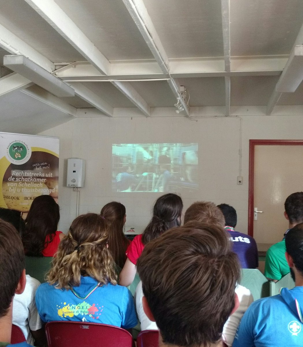 Mostly Northern (GMW Roverway 2018) tweet media