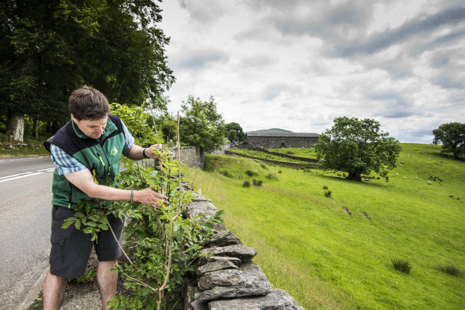 ForestryComm's tweet image. We have a vacancy for a Woodland Creation officer. For more information and to apply go here civilservicejobs.service.gov.uk/csr/jobs.cgi?j…