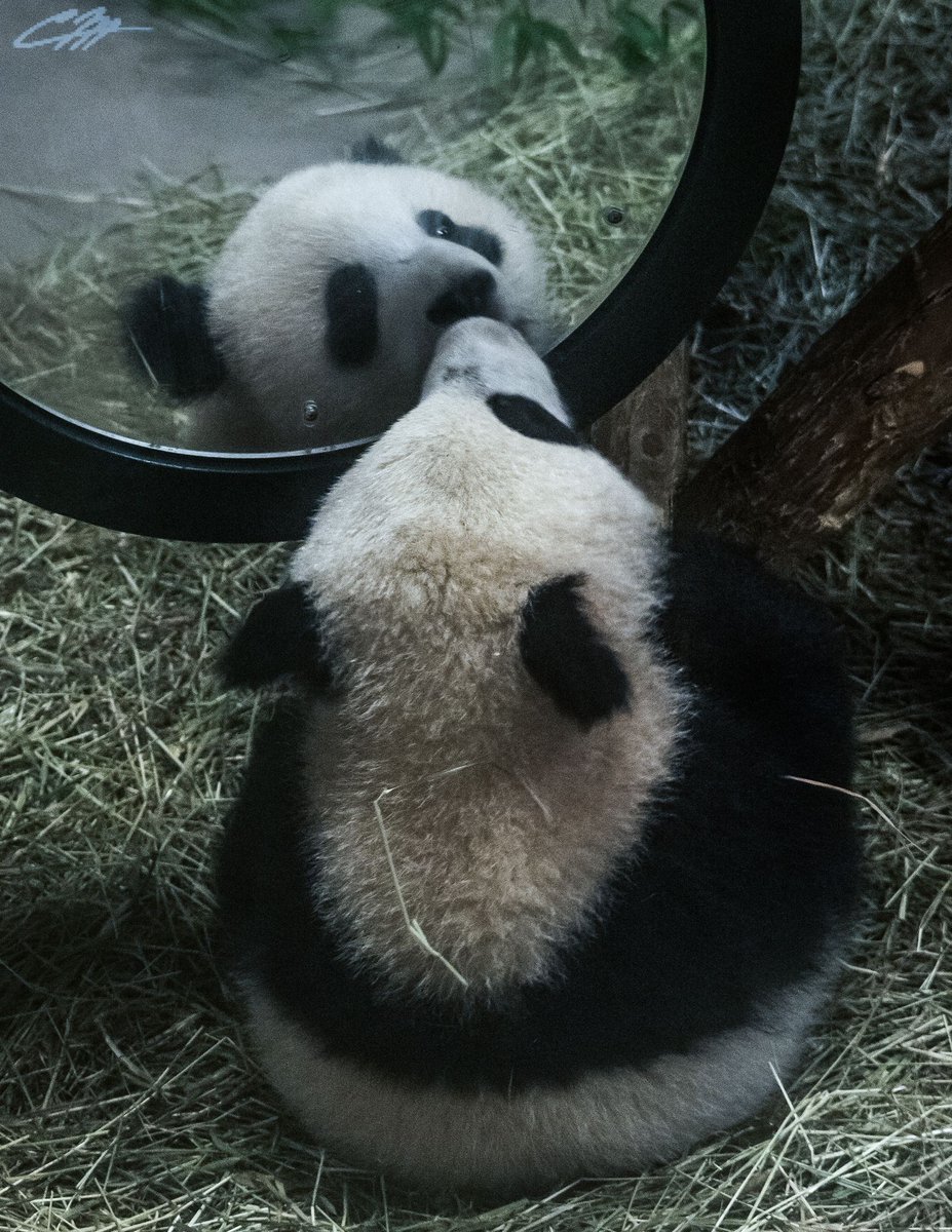 Bu yakışıklı da kim?
Aa benmişim.