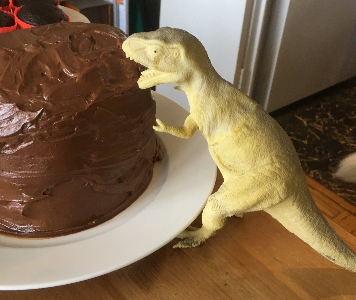 TFlex_Rawr's tweet photo. Today, eat a cake that’s bigger than you - Rawr! #WellnessWednesday #YOLO #eatthecake #dino #dinosaur #flexibledieting #iifym #trex #rawr https://t.co/w8UAVmLajd