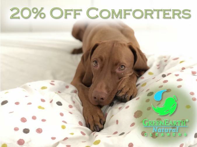 oviedocleaners's tweet photo. July Special: 20% Off Comforters, Laundered and Dry Cleaned
Come In Today! M-F 7a-7p, Sat 8a-4p
407-977-2209
Let us do the bulky work and get your comforter clean and fresh smelling, with No Chemicals!
#familyowned #supportlocal #oviedocleaners #percfree #greencleaning #oviedo https://t.co/186myWzd57
