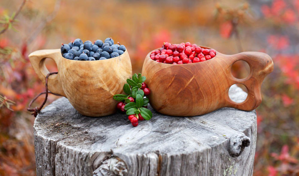 DiscoverFinland tweet picture