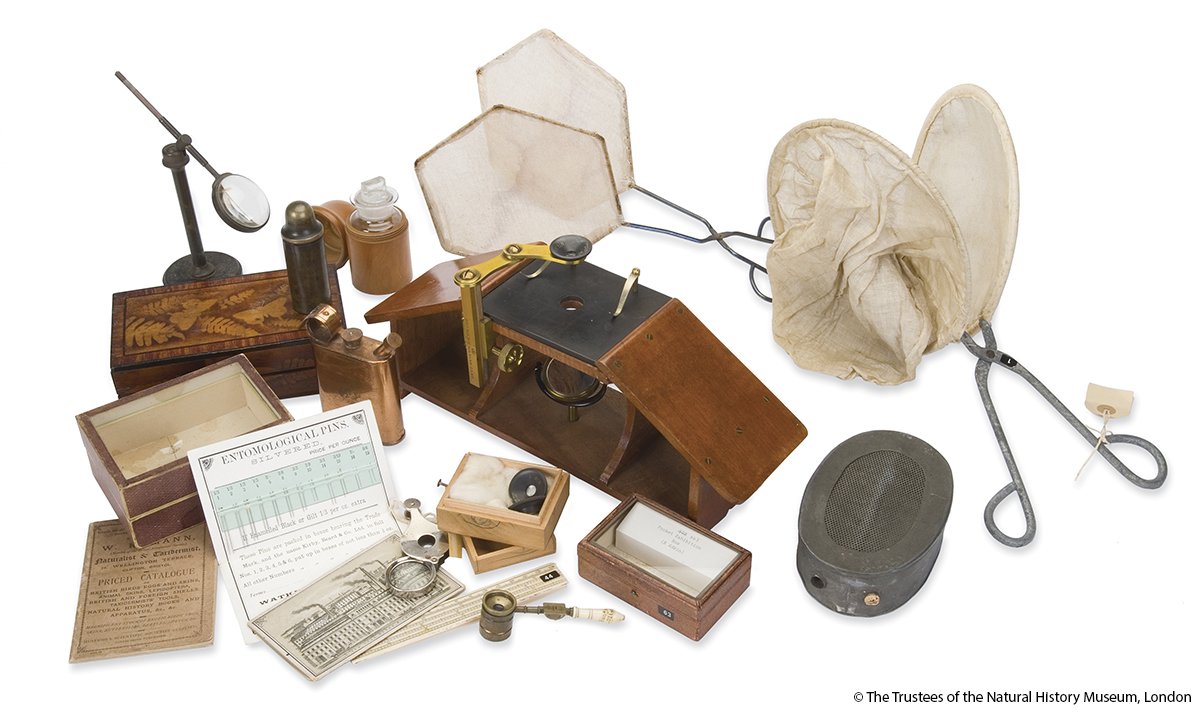 NHM_London's tweet image. Ancient #MusTools aren't the only kind in our collection; these objects from the Chalmers-Hunt Collection (held by @NHM_Library) are a Victorian entomologist's tools of the trade. They would have been used to collect and study insects.
