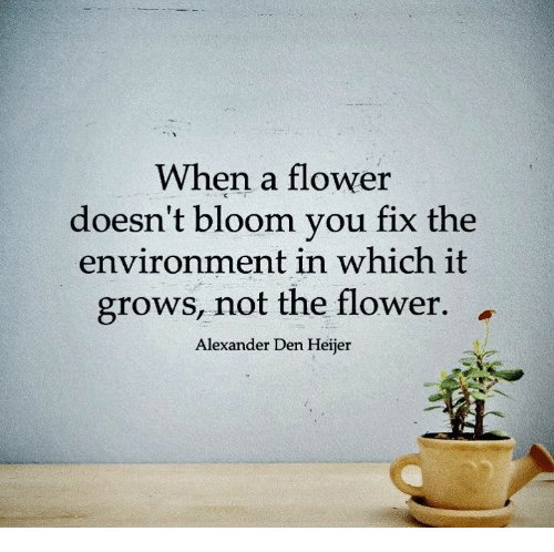 GADOECLIMATE's tweet image. &quot;When a flower doesn&apos;t bloom you fix the environment in which it grows, not the flower.&quot; #schoolclimatematters #pbis #gapbis @GaDOESafeSchool @GetGAReading @Ga_APBS