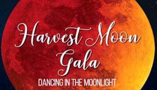 BGCSECT's tweet image. Harvest Moon Gala: Dancing in the Moonlight honoring Tracee Reiser - Friday, 9/29 - Red B... conta.cc/2LRHarq