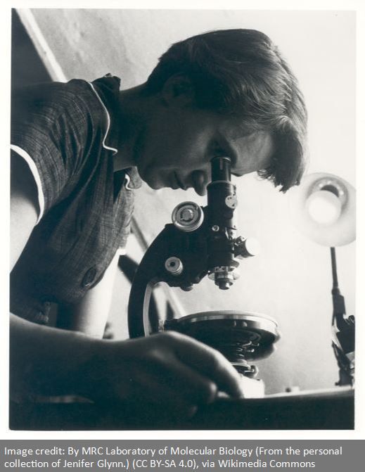 NSF's tweet photo. Happy birthday to #RosalindFranklin! Without her work, DNA's structure would still be a mystery -- as would critical details of coal, graphite and other forms of carbon. #OTD #WisdomWednesday https://t.co/289nw44A8M