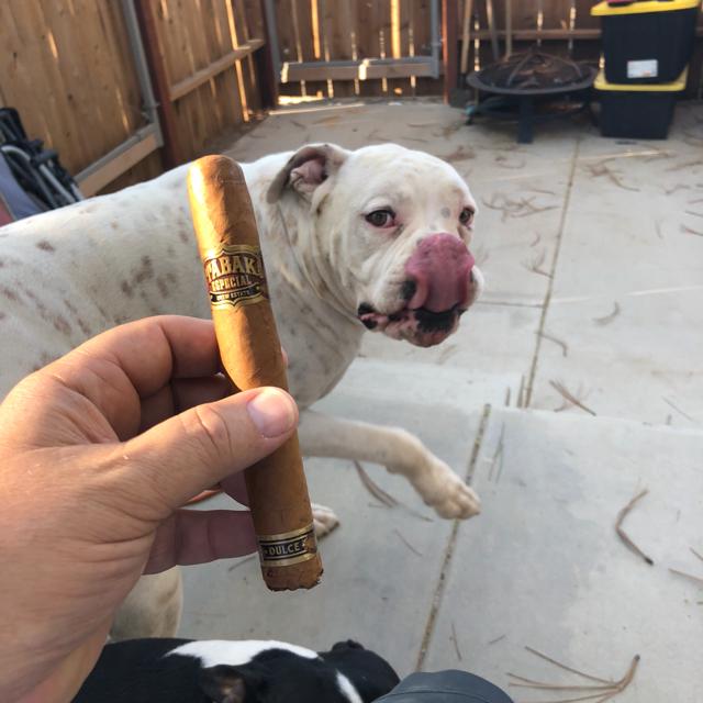 Omygodc's tweet photo. I just smoked a Tabak Dulce Toro on @drewdiplomat! #DE4L https://t.co/XwPtohvJ8S