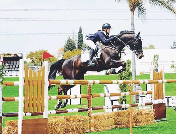 TheSADerby's tweet photo. "Whether you are riding or being a show pony yourself, Derby is the day everyone comes out, dresses up and gives it their all. Its where I met my fiancé and won 2 of the biggest Showjumping events of my career. Its basically the day dreams are made of!" - @JadeHooke https://t.co/NbbD2mr3F7