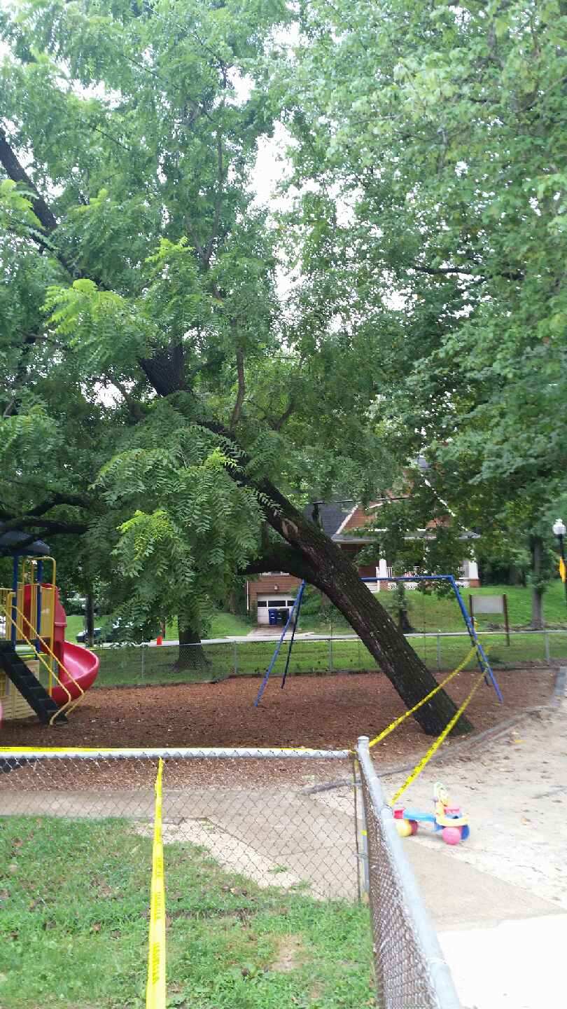 ARL VA Parks & Rec on Twitter "Due to a treemergency, the Madison