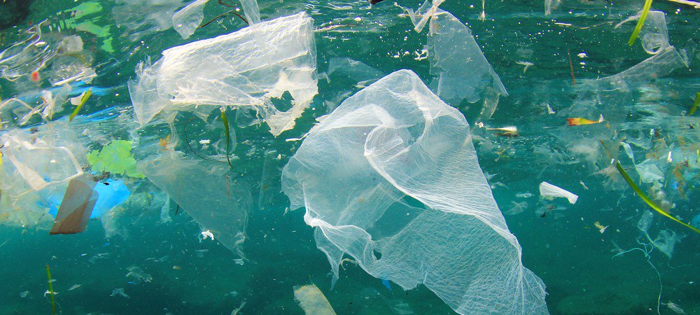 thisiscollec's tweet photo. Trash Archi-Cycling #Workshop +Info: https://t.co/6fNO7sTSna we need to show the impact of #plasticpollution #Wasteland not only around the world but what's right in front of us. https://t.co/zD2EcWrPfq