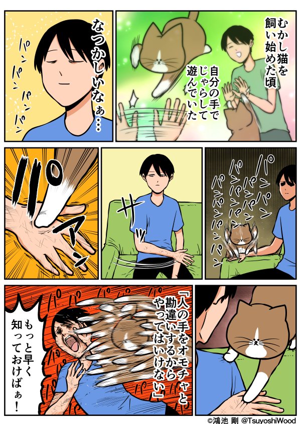 【漫画日記】猫とは道具を使って遊ぼうね！(めちゃくちゃ後悔するから)
 