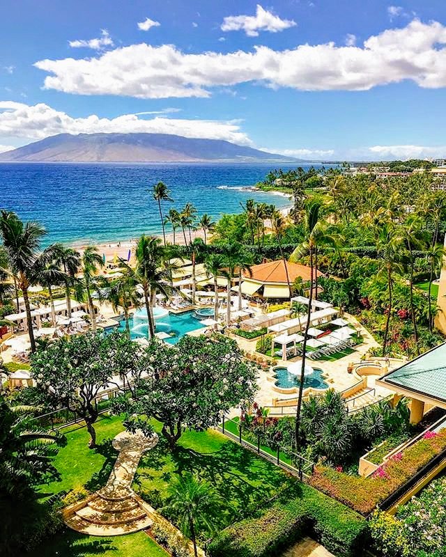 Yami Koolie tweet media