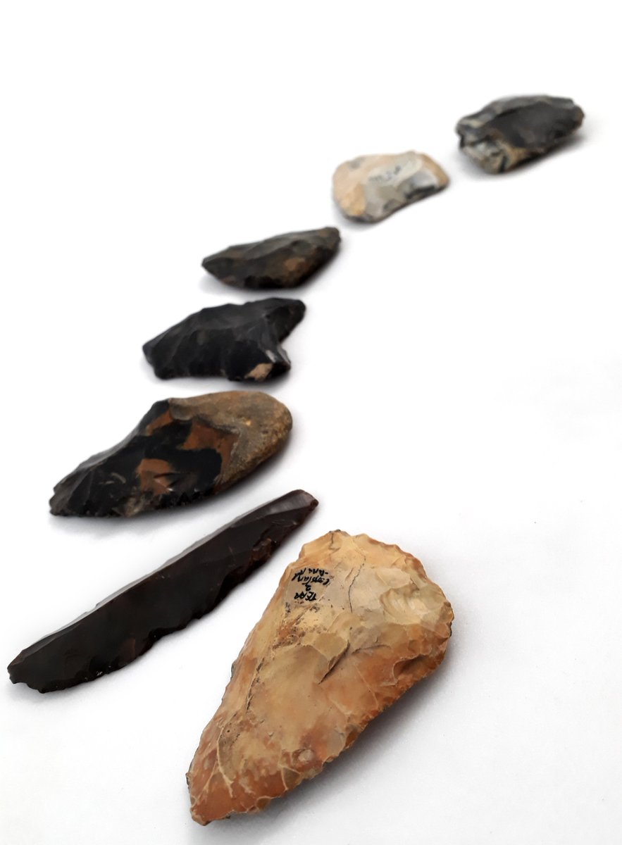 IpswichMuseums's tweet image. Hand axes are a type of multi-purpose tool used during the Old Stone Age. These tools were used by people in Ipswich. Evidence of human activity goes back thousands of years and large amounts of worked flints were found when IP1 was developed for housing. #MusTools