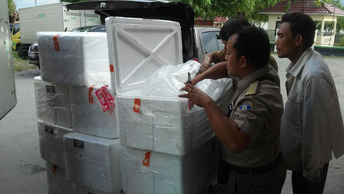 BKIPMPalu's tweet photo. Selamat malam kawan, yuk intip petugas @BKIPMPalu  yg sedang melakukan pemeriksaan terhadap pemasukan benur vanamei asal Takalar @BKIPMMakassar sebanyak 14 box. #OneHealthKIPM  @HumasBKIPM #semakinsolid https://t.co/w0B5OX9PLl