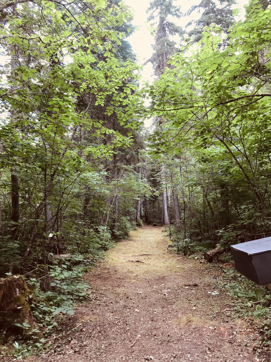 NagagamisisPP's tweet photo. Looking for a new adventure? Hike the Time Trail! There is always something new to discover here. Check out the trail head or the park office for pamphlets with cool info about the history of #nagagamisis
#amazingtrails @OntarioParksNE https://t.co/i2aUjMmLBG