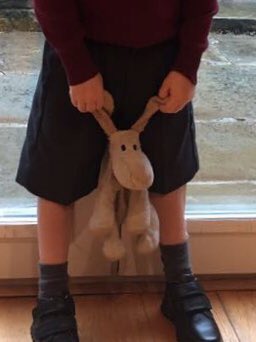 PatsyGallaghe18's tweet image. Please help my grandson find the cuddly toy in the picture. He left it on the train this morning, the 9:26 from Walsden to Southport. We got off at Manchester. He really loves this doggie and takes it everywhere with him.