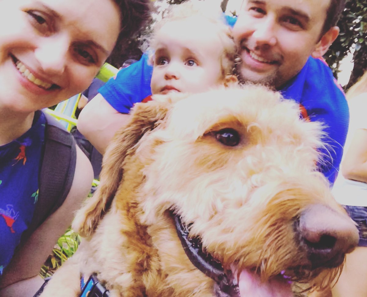 MorChuck21's tweet photo. #WednesdayWisdom take ⏱ 4 #littlemoments like waiting 4 #AlienSwirlingSaucers put 2gether, they r a #bigdeal. #morchuck21 #dogsandbabies #family #t1dadvocate #4ekennels #TargetStyle #diabeticalertdogs #servicedog #dogsatdisney #wdw #disney #goldendoodles #buzzfeedanimals https://t.co/hnrhHHQZdC