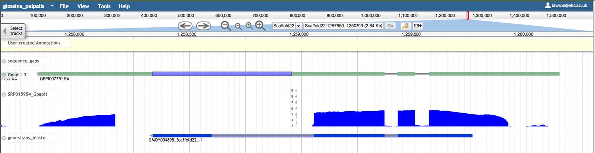 VBannotator's tweet image. I bring you the inverted gene where introns are exons and exons are UTRs. #AnnotationFail #VBannotation