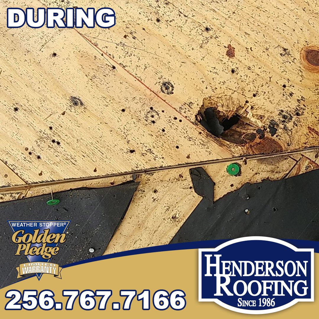 HendersonRoof's tweet photo. This #MuscleShoals #Homeowner has chosen Henderson Roofing to install their @GAFRoofing #DesignerSeries Sienna - Heirloom Brown #Shingles & #GoldenPledge #Warranty #Materials
#MasterElite #ResidentialRoofing https://t.co/W7VwsEqjp0