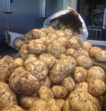 From our own farm to the HOOF #foodmiles #locallysourced #ownproduct #localfood #grownonourfarm #potatoes #potatoestochips #homemadechips