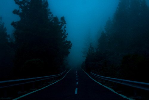 archillect's tweet image. 