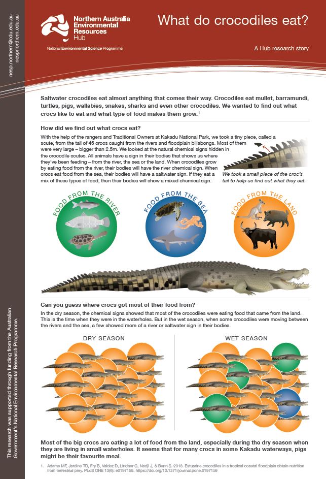 What a great communication piece for a new paper from @NESPNorthern! Kudos! 👏nespnorthern.edu.au/2018/07/25/wha… and paper: bit.ly/2uRqERS #scicomm #crocodile #PLOSONE #australia