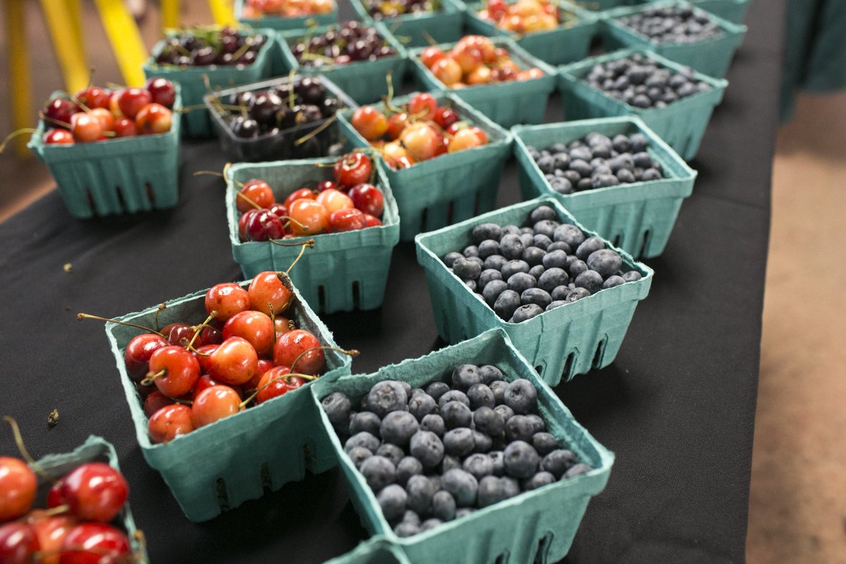 oaklandu's tweet image. The OU Student Organic Farm program sells their freshly harvested organic produce to the community weekly through a farm stand held in front of Kresge Library (or at the Campus Rec Center if inclement weather). It is open to the public every Thursday, 10 A.M – 2 P.M. #ThisIsOU