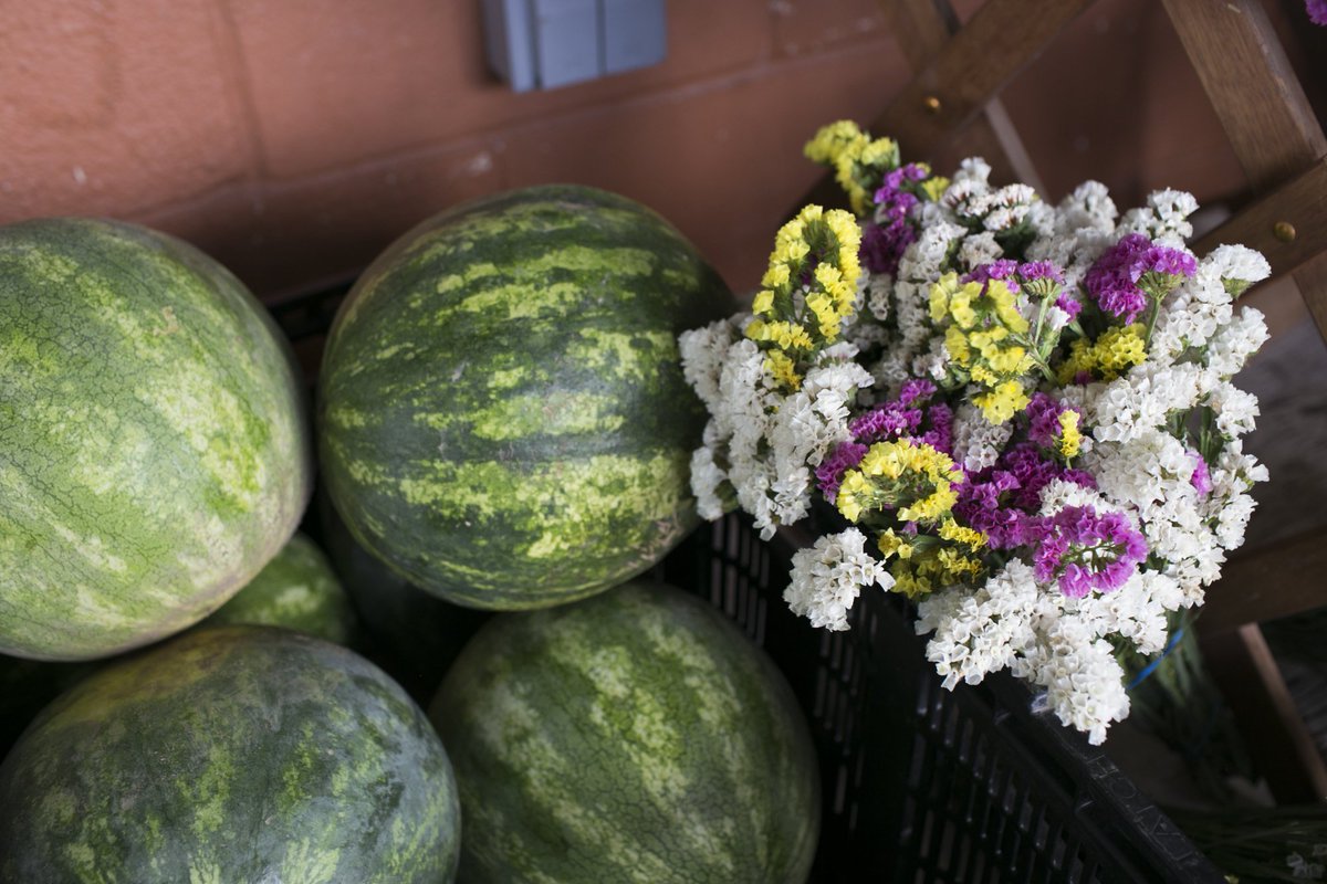 oaklandu's tweet image. The OU Student Organic Farm program sells their freshly harvested organic produce to the community weekly through a farm stand held in front of Kresge Library (or at the Campus Rec Center if inclement weather). It is open to the public every Thursday, 10 A.M – 2 P.M. #ThisIsOU