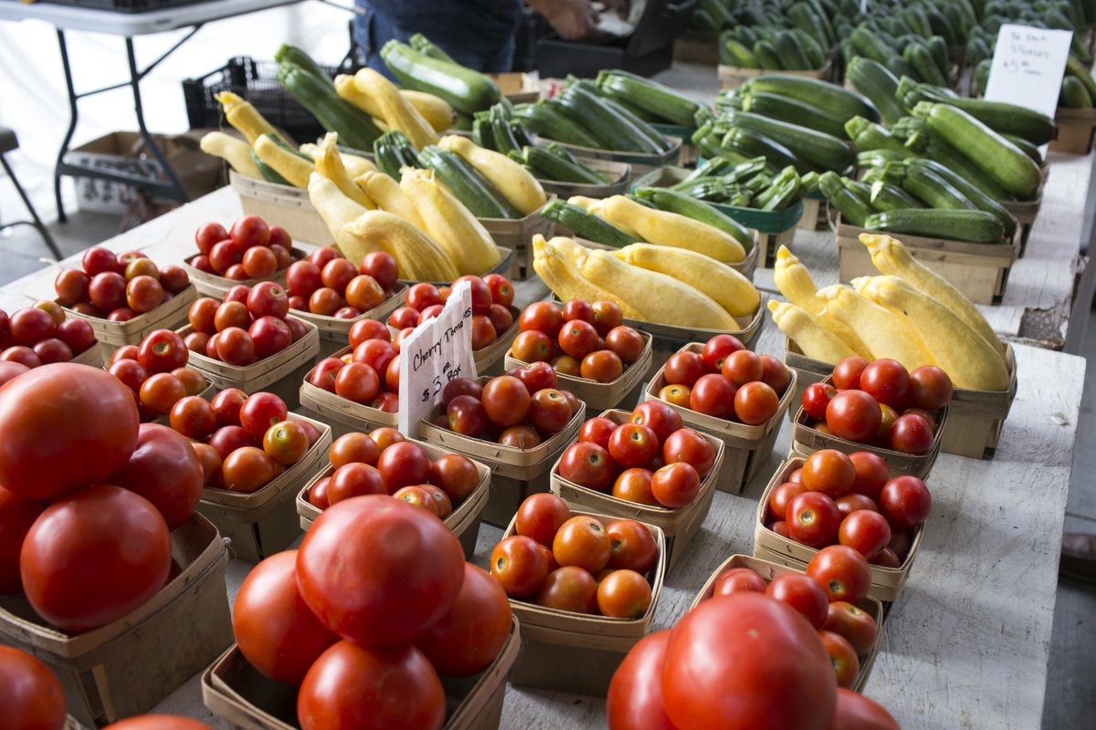 oaklandu's tweet image. The OU Student Organic Farm program sells their freshly harvested organic produce to the community weekly through a farm stand held in front of Kresge Library (or at the Campus Rec Center if inclement weather). It is open to the public every Thursday, 10 A.M – 2 P.M. #ThisIsOU