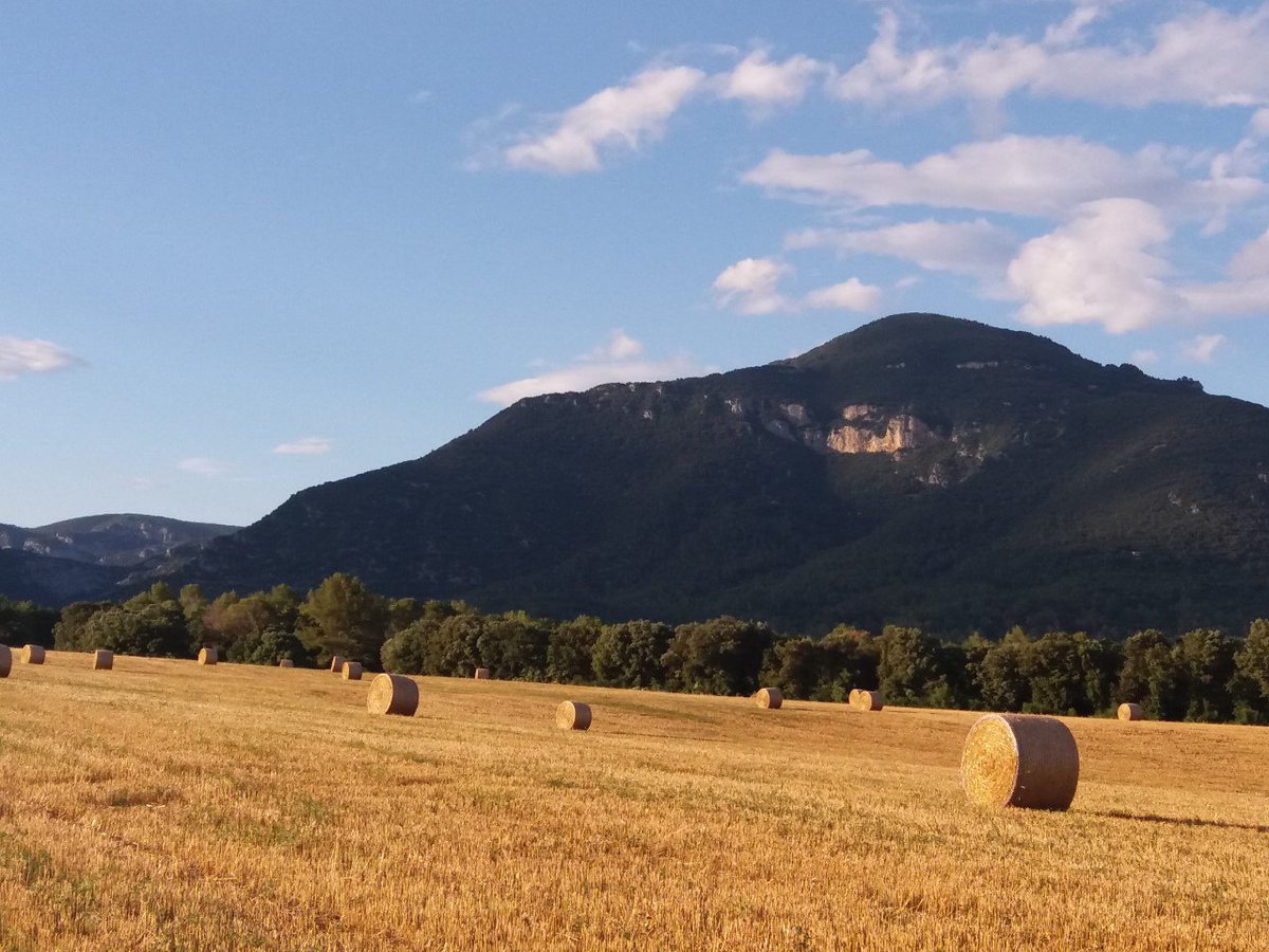 CanSerola's tweet photo. "He who never leaves his land is full of prejudices"  #verano #summer #pause #relax #nature #silence  #viaje #viatge #vouyage #travelling #voyageur #viajero #honeymoon #boutiquehotel #hotelconencanto #hotel #experience  #Besalu #spain https://t.co/Ib1J6n0SRf