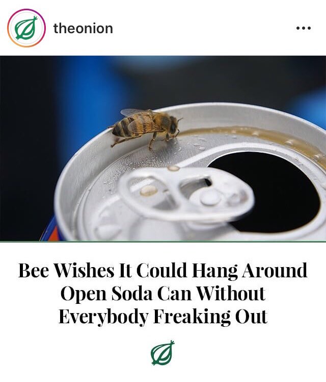 bootstrap bees tweet media