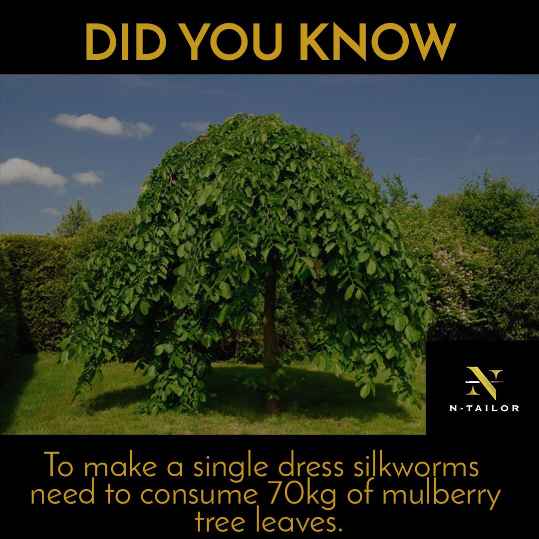 thentailor's tweet photo. #DidYouKnow?⠀
#NTailor #Fashion #Bespoke #BespokeTailoring #Bespokeclothing #Ankara #Africa #Africanentrepreneurs #AfricanPrint #Africatotheworld #Blackgirlskillingit https://t.co/YQ4V6cA7a2