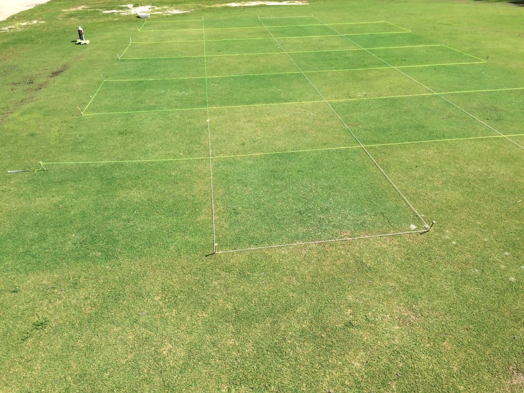 Dr_Lee_Berndt's tweet image. Great day for fungicide research in Southwest Florida #turfgrassresearch @plantdisease @RichardPHMagic @MikeFidanza #takeallpatch