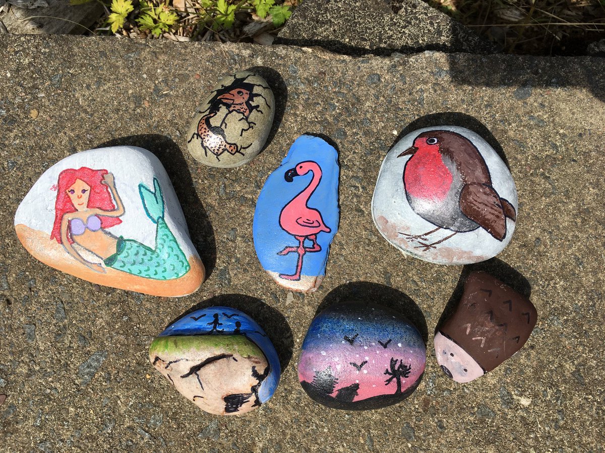 supportCHAS's tweet photo. One of our amazing families have started up a #robinrocks hashtag and decorated some rocks that will start off being hidden in Balloch Park.. Keep your eyes open for them π #robinhouse #childrenshospice #keepthejoyalive https://t.co/vJWjkoBm0h