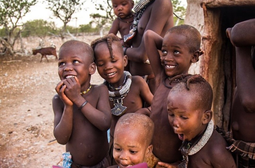 Rossella 🐞 tweet media