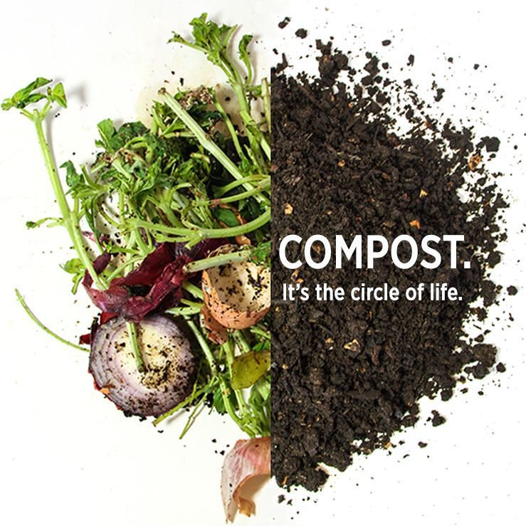EcoSafeZW's tweet image. The #compost life cycle - #foodwaste #soil
