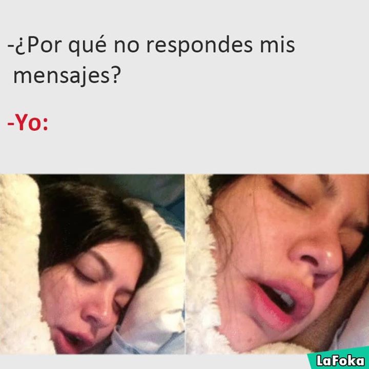 VMLatino's tweet photo. #SomosVM

Solo puedo decir que me encanta dormir 😴 https://t.co/fzipLRk8T7 https://t.co/4bzeOGyIJs