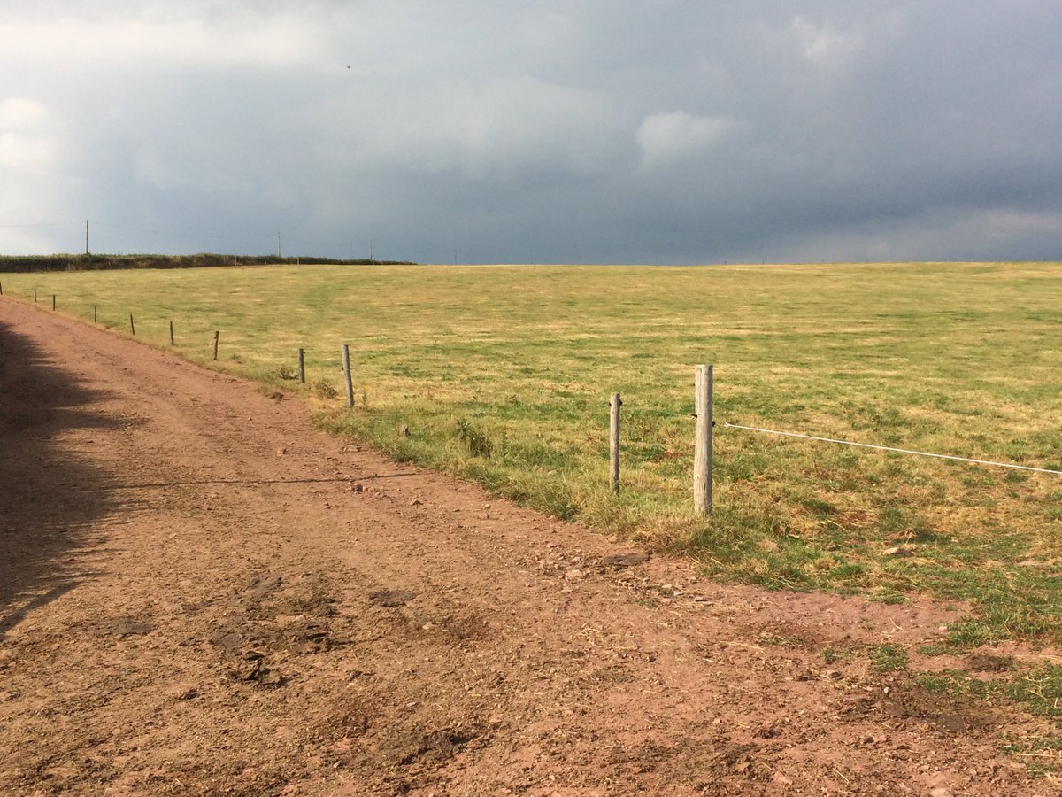 No rain, not much grass, lots of sunshine and scenery in south west Wales this week!