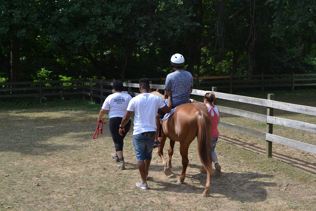 WoodsServices's tweet photo. Today was a big day for Zaire! With support and encouragement from Woods staff members, he rode a horse for the very first time! We are so proud of him! Click "Like" if you are too! :-) #HappyFriday #FunFriday #equinetherapy #therapyhorse https://t.co/w8yWuXaTu1