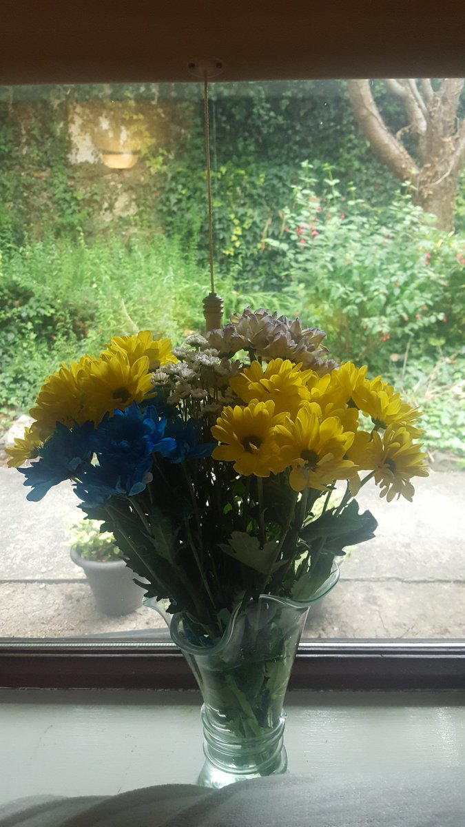 Had to get these flowers primrose and blue #hontheros @RoscommonGAA @clubrossie