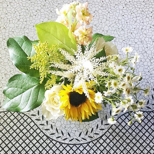 When I said bloom, baby, I meant:⁣
B L O O M⁣
BABY ⁣
B L O O M⁣
⁣
@amborellafloral
_____
#alushlife #sponsored #amborellafloral #yycflorist #yycflowershop #yycflowers #calgaryflorist #peonybouquet #peoniesaremyfavorite #freshflowersmakemehappy #f… ift.tt/2KT6zF4
